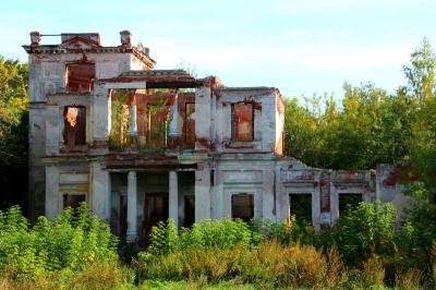 Перспективы восстановления усадьбы в Костино туманны